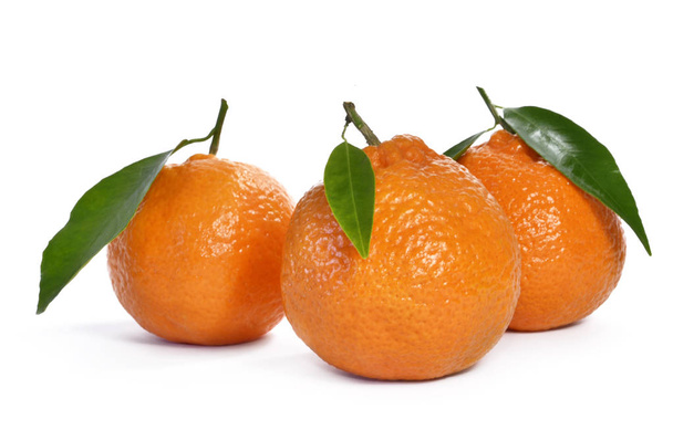 Fresh oranges with leaves - Фото, зображення