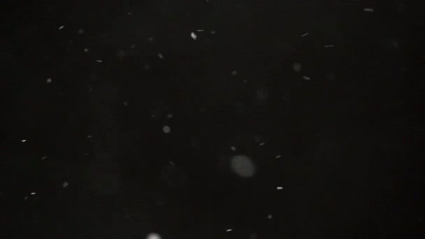 Téli hóesés fekete háttér - Felvétel, videó