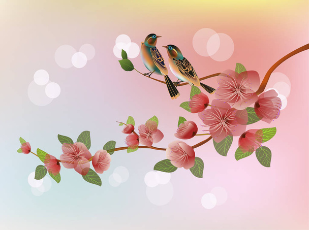 Sakura.Sera in giardino in fiore ciliegie e uccelli cantano
 - Vettoriali, immagini