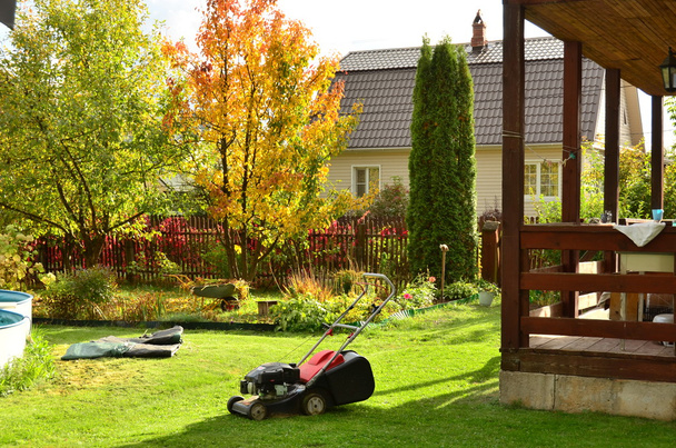 Autumn care in the summer garden in the country. - Photo, Image