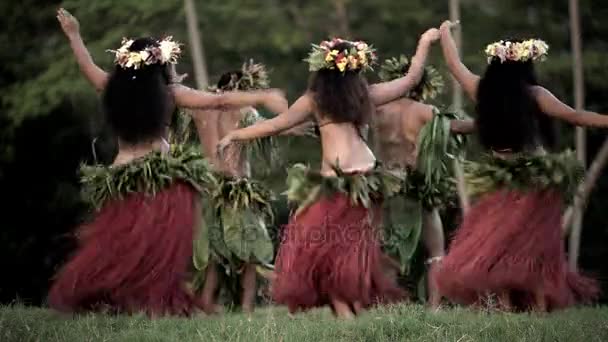  Männer mit Mädchen tanzen Hula  - Filmmaterial, Video