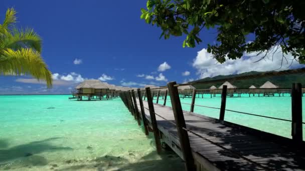  luxus bungaló Bora Bora  - Felvétel, videó