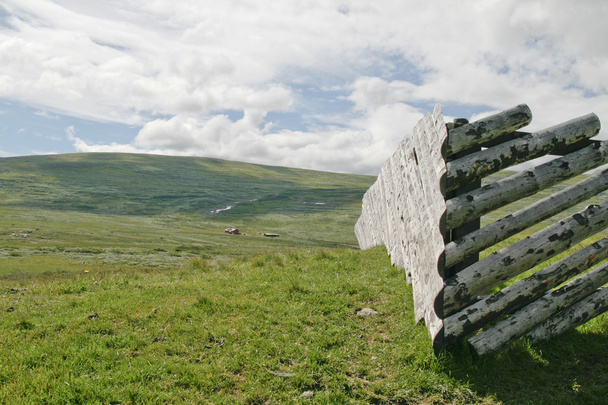 Verano en Hardangervidda
 - Foto, imagen