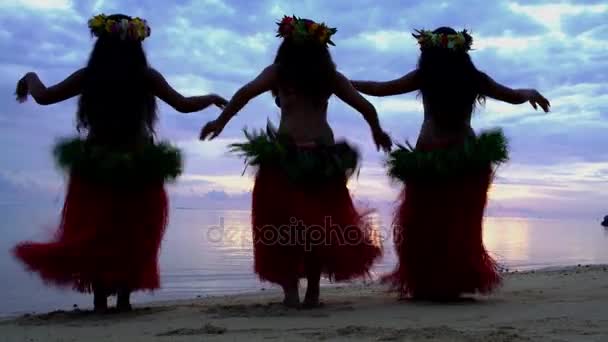 κορίτσια που χορεύουν χούλα  - Πλάνα, βίντεο