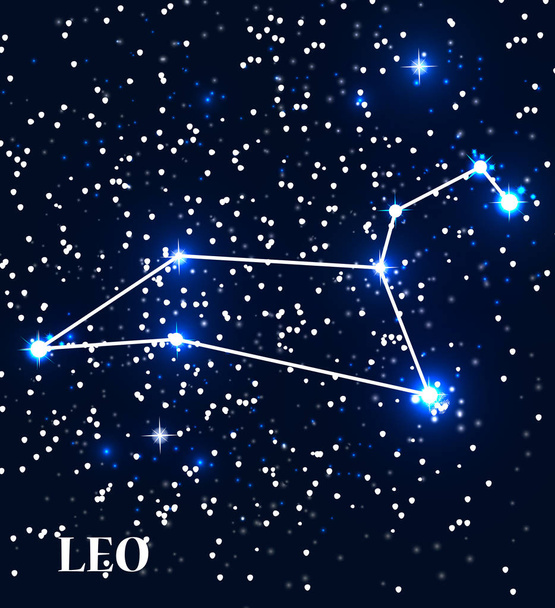 Symbol Leo Zodiac Sign. Vector Illustration. - Vektör, Görsel
