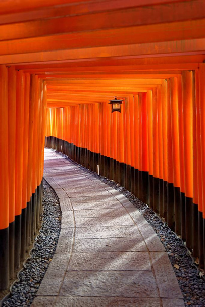 Red Gates in Japan - Photo, Image