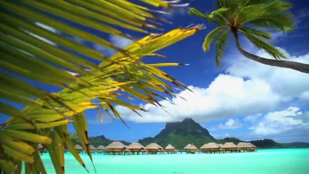 Bungalows in de lagune van Bora Bora - Video