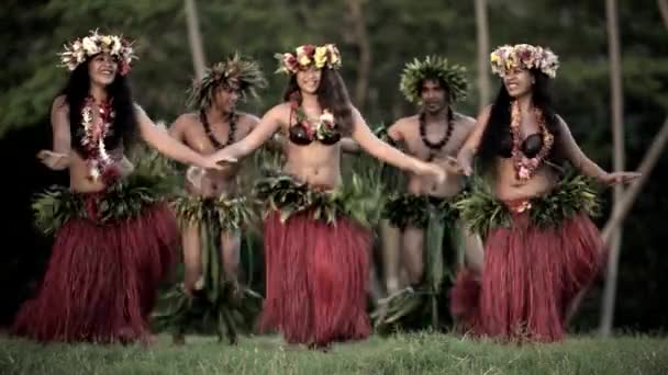 Polynesische Tänzer unterhalten in Kostümen - Filmmaterial, Video