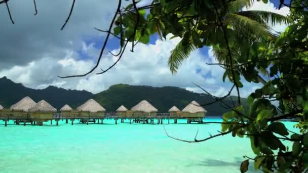 Palm trees and Bungalows in Bora Bora - Footage, Video