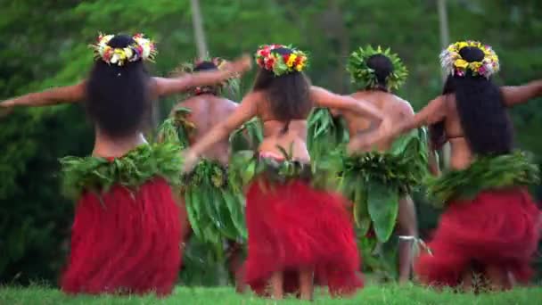  άνδρες με κορίτσια που χορεύουν χούλα  - Πλάνα, βίντεο