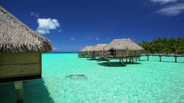 Overwater luxe Bungalows van Bora Bora  - Video