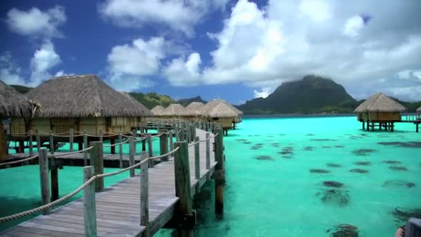 Bungalows de luxe sur pilotis de Bora Bora
  - Séquence, vidéo