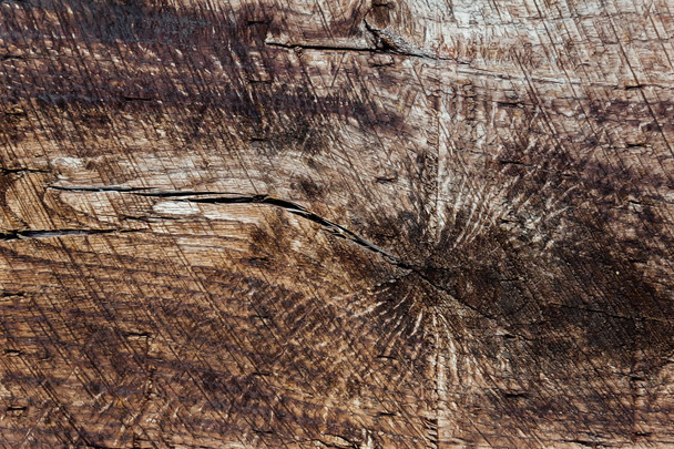 木の質感 - 写真・画像