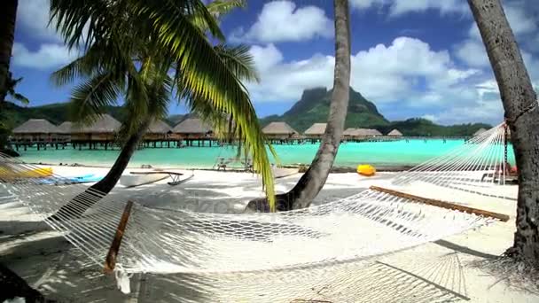 Beach hammock in aquamarine lagoon - Footage, Video