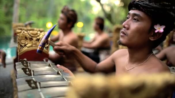 Grupa gamelan, grając w wydajności - Materiał filmowy, wideo