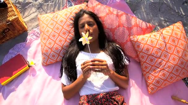 dívka si piknik s Větrník - Záběry, video