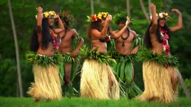 Polynesische dansers onderhoudende buiten  - Video
