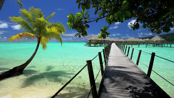  Bungalows de lujo de Bora Bora
  - Metraje, vídeo