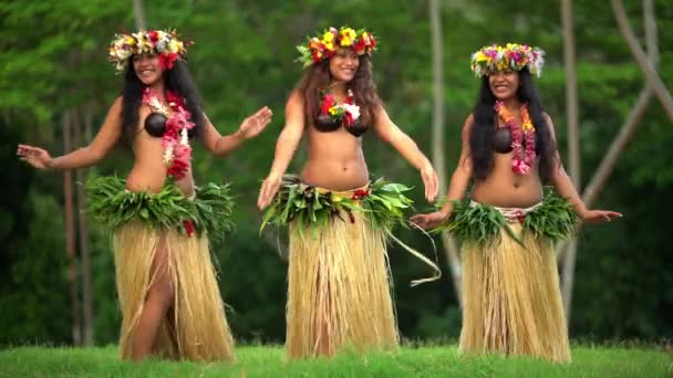  Hula танцюристи виступають на відкритому повітрі
 - Кадри, відео