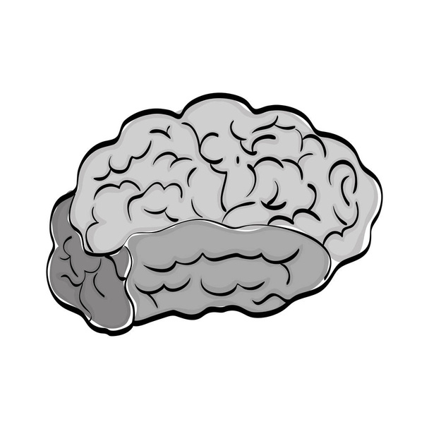 Umysł ludzki mózg - Wektor, obraz