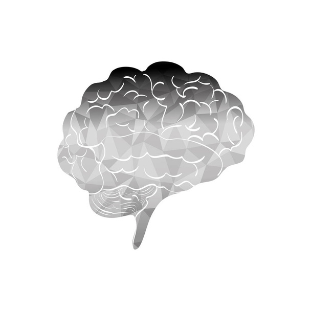 Ανθρώπινος εγκέφαλος το μυαλό - Διάνυσμα, εικόνα