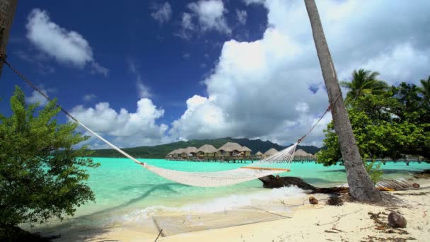 Beach hammock in aquamarine lagoon - Footage, Video