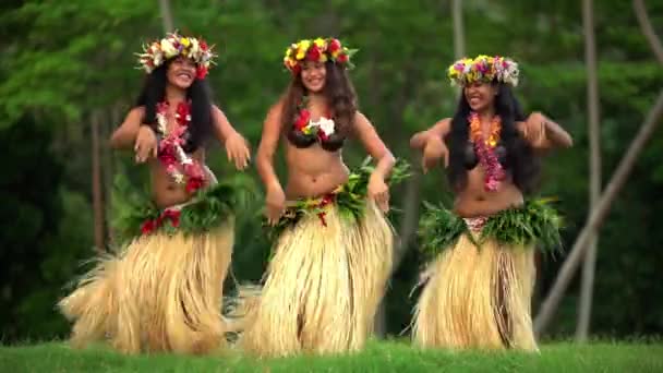 holky tanec hula - Záběry, video