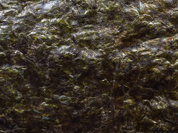 Dried nori seaweed - Foto, imagen
