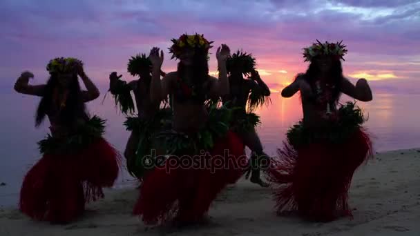 hula dansers het uitvoeren bij zonsondergang - Video