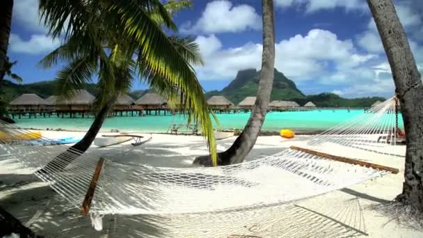 hangmat op een tropisch strand - Video