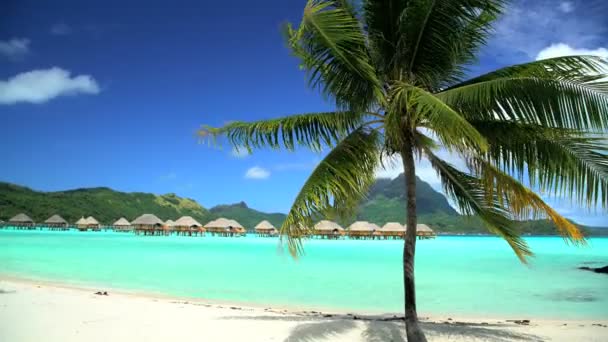 Bungalowy w laguny Bora Bora - Materiał filmowy, wideo