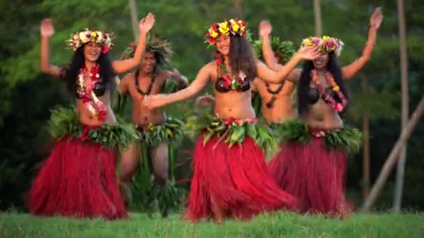 hula dancers performing outdoor - Footage, Video