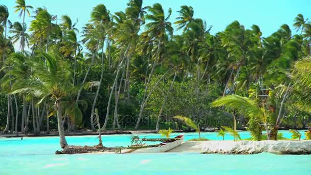 Palmbomen in Paradise lagune - Video