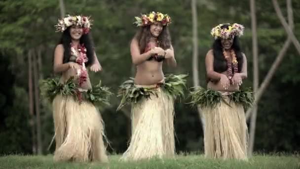  hula dancers performing outdoor  - Footage, Video