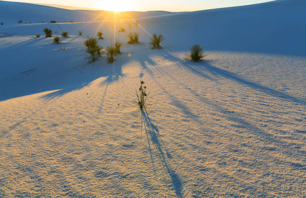 Nationaal monument White Sands - Foto, afbeelding