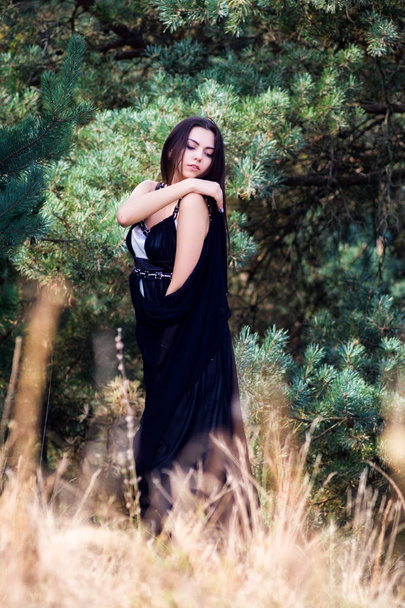 Graceful charming brunette model posing in black dress in coniferous park - Foto, Bild