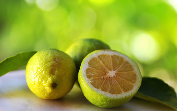 Green lemons on green background - Foto, imagen
