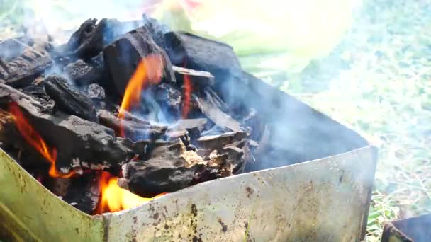 Oheň na vaření nebo grilování, gril s dřevěným uhlím - Záběry, video