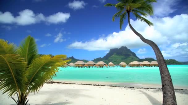 Bungalows in de lagune van Bora Bora - Video