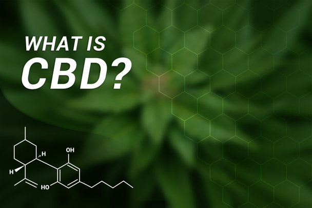What is CBD? | CBD Cannabidiol | Medical Marijuana | Cannabis - Fotoğraf, Görsel