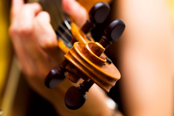 Girl playing the violin classical music concert - 写真・画像