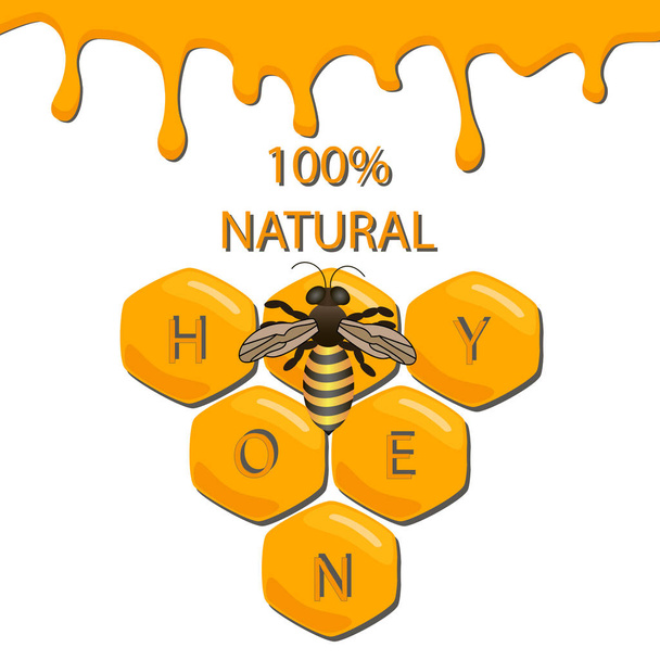 Векторна ілюстрація логотипу для теми бджіл і меду
 - Вектор, зображення