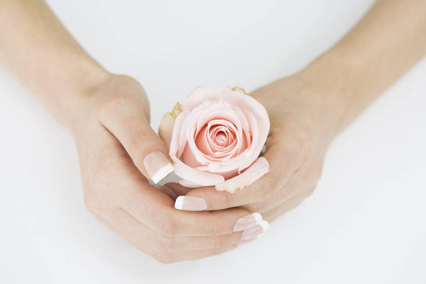 Pink rose in woman hands - Foto, afbeelding
