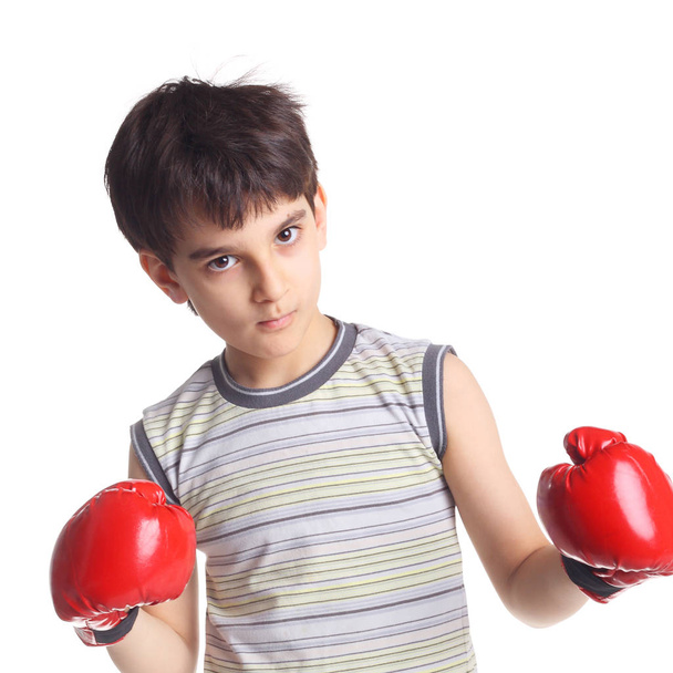 Boy little boxer  - Fotó, kép