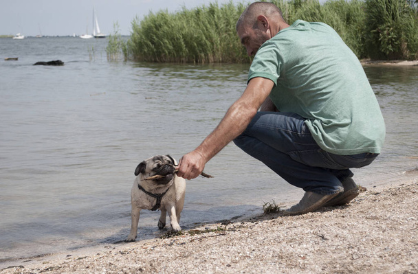 handsome man, adult male, playing with pug puppy dog outside at the beach - Foto, afbeelding