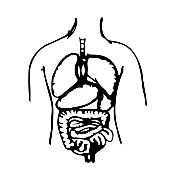 Ručně Nakreslete ikonu orgánů těla - Vektor, obrázek