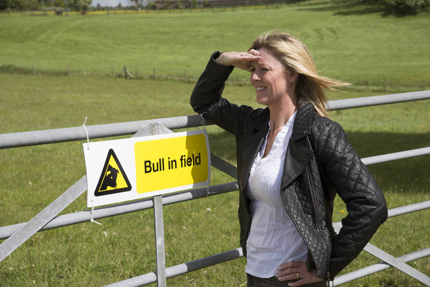 Woman with a sign for Bull in Field - Photo, Image