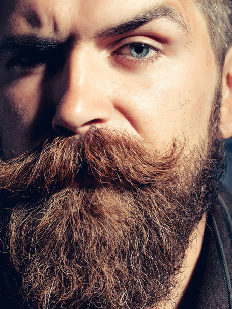 serious bearded man hipster - Φωτογραφία, εικόνα