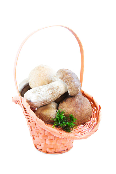Basket with forest mushrooms - Фото, зображення