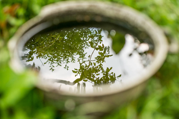 Tree reflected on the water - Valokuva, kuva